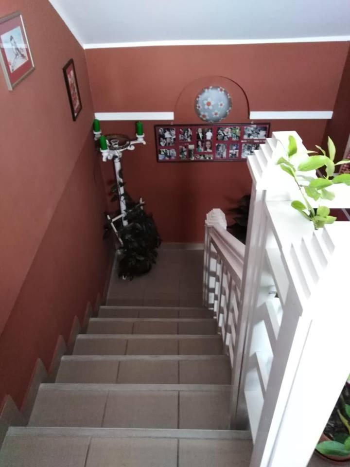 ורדניק Apartman Vrdnicak מראה חיצוני תמונה